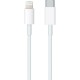 USB-TYPE C CABLE  ΣΕ LIGHTNING MKQ42ZM/A WHITE 2m